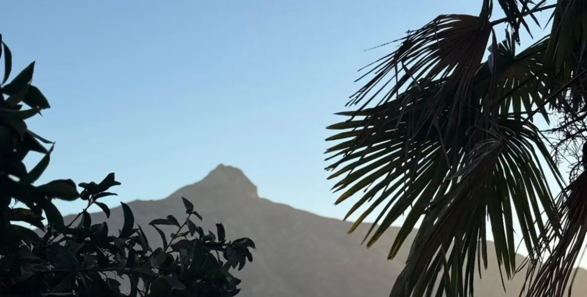 Alquiler a largo plazo de apartamento en planta baja en Marbella 9