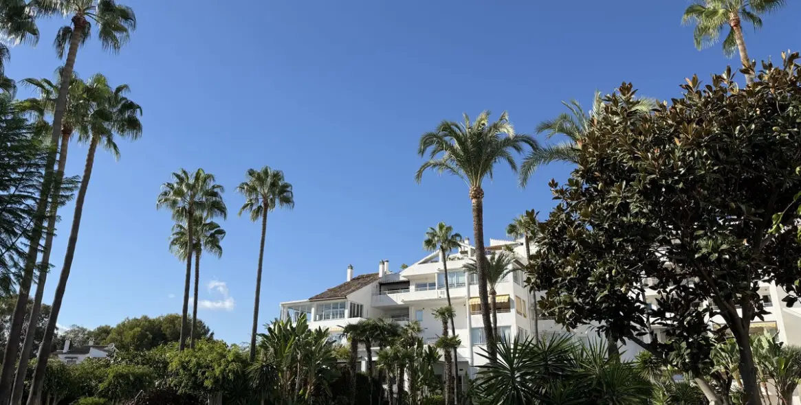 Long-term rent of ground floor apartment in El Paraiso 17