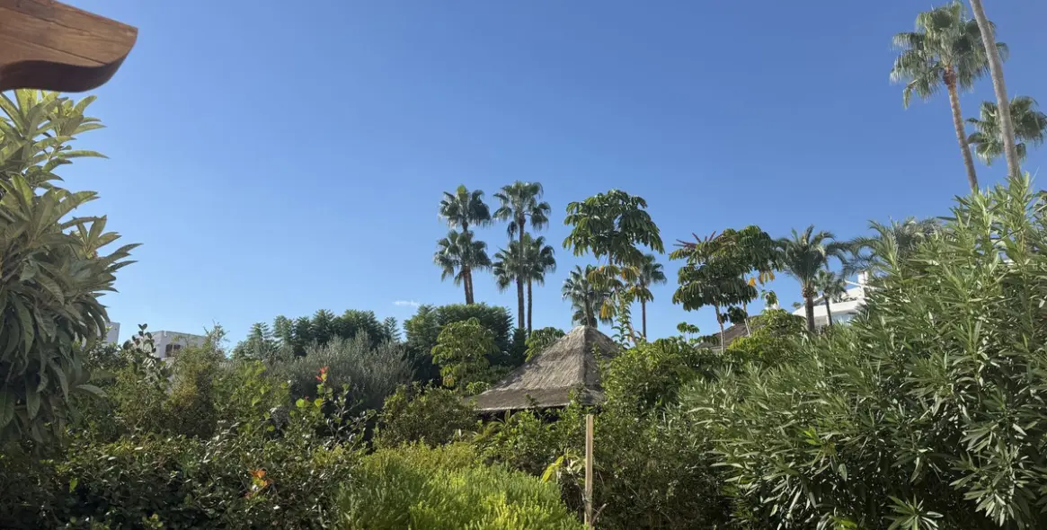 Long-term rent of ground floor apartment in El Paraiso 19