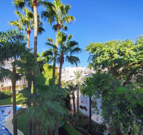 Middle floor apartment R5164708