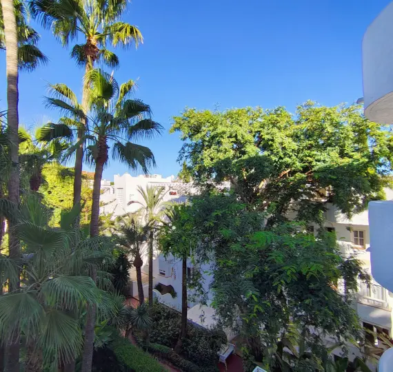 Middle floor apartment R5164708