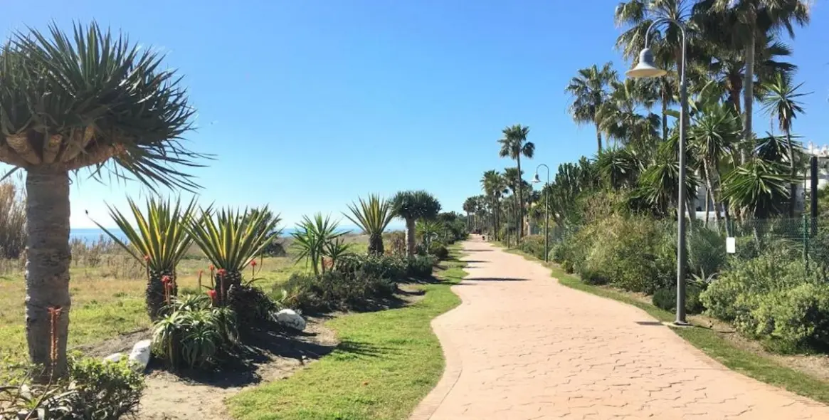 Long-term rent of middle floor apartment in Cancelada 14