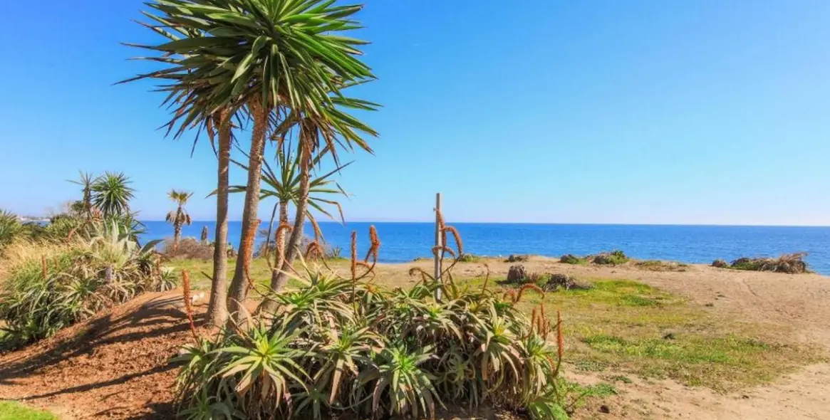 Long-term rent of middle floor apartment in Cancelada 16