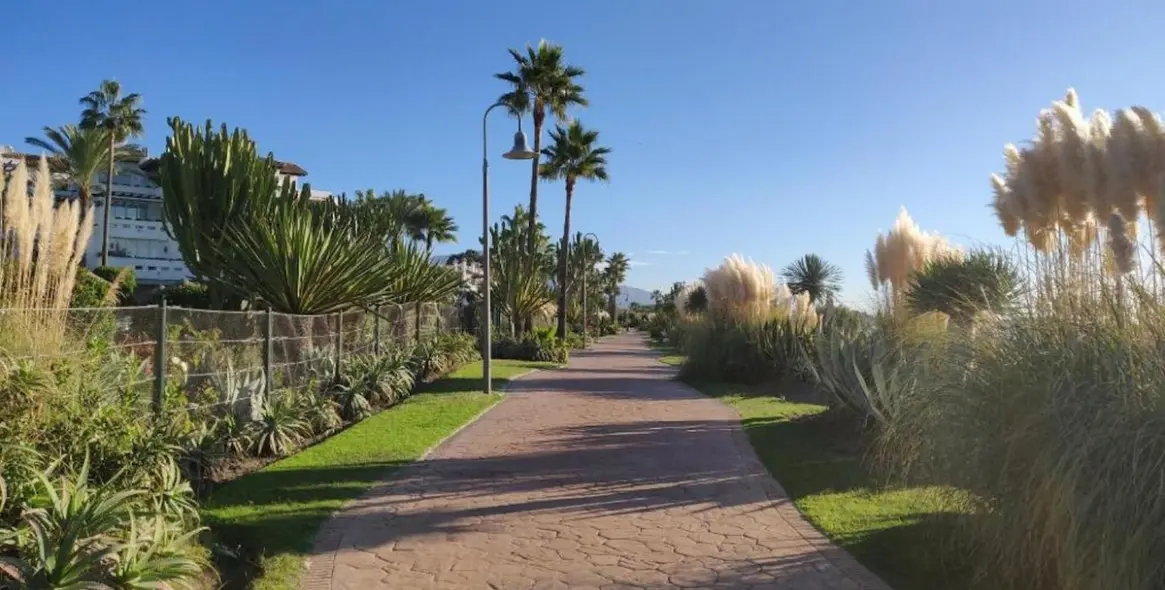 Long-term rent of middle floor apartment in Cancelada 18