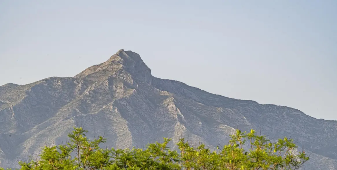 Alquiler a largo plazo de apartamento en planta baja en Nueva Andalucía 22