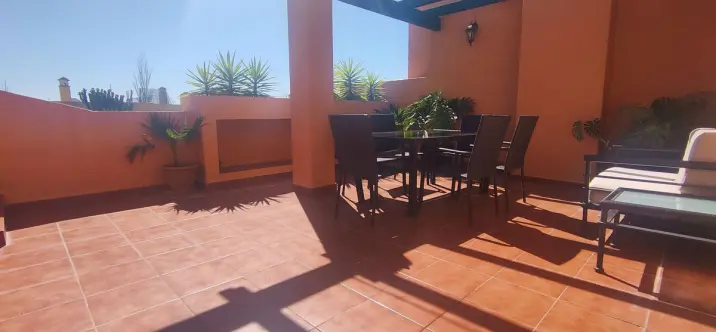 Long-term rent of penthouse duplex in Guadalmina Alta 0