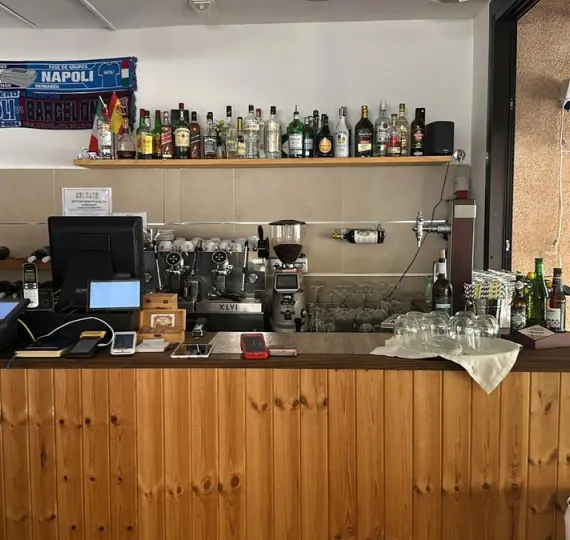 Long-term rent of restaurant in San Pedro de Alcántara