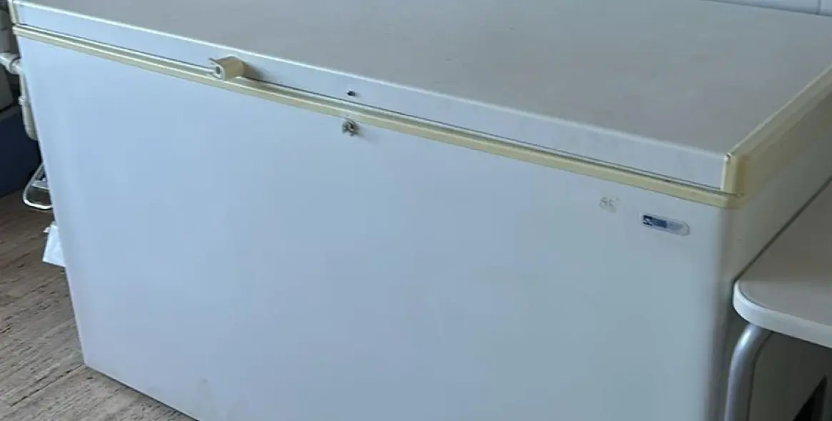 Long-term rent of restaurant in San Pedro de Alcántara 6