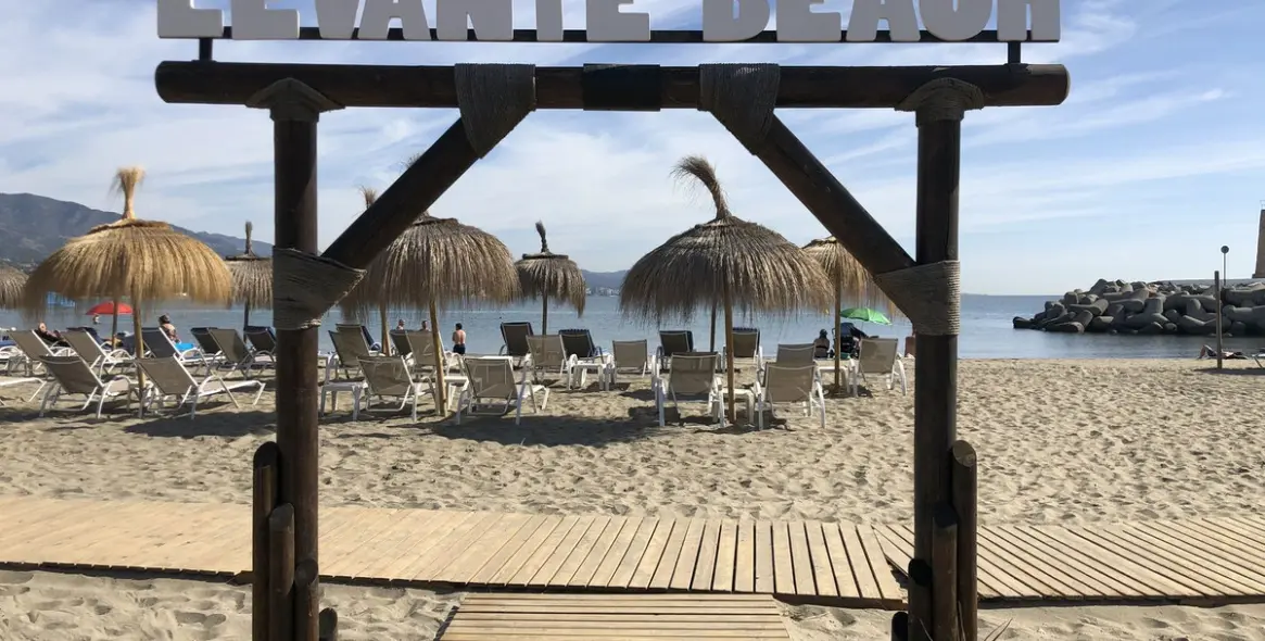 Долгосрочная аренда ресторана в Nueva Andalucía 15