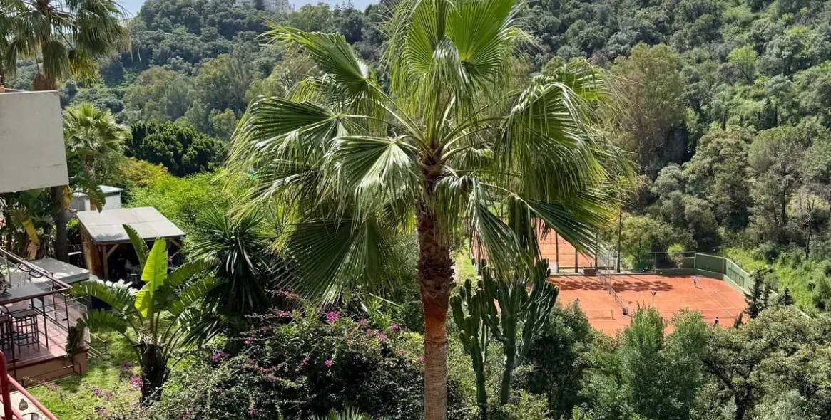 Long-term rent of semi-detached house in Estepona 11