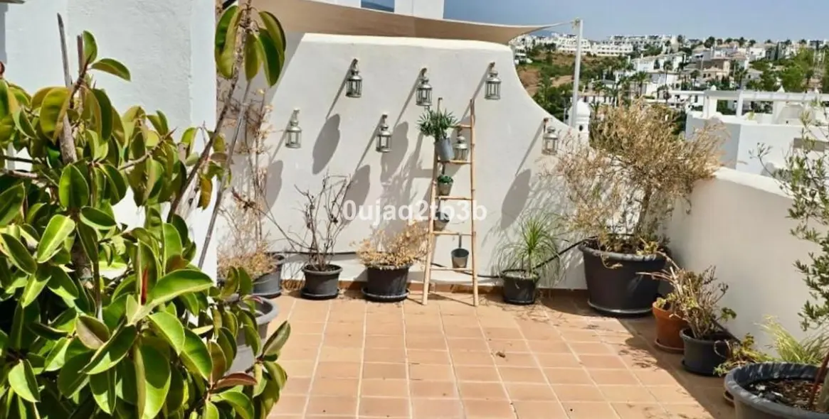 Long-term rent of penthouse in Selwo 3