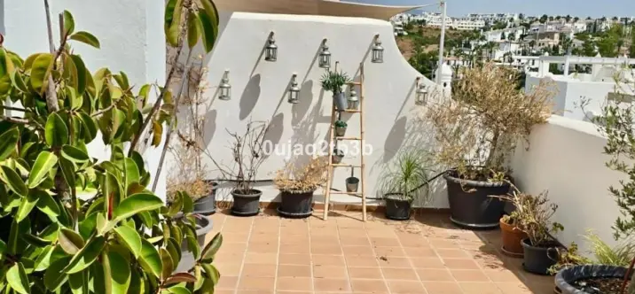 Long-term rent of penthouse in Selwo 2