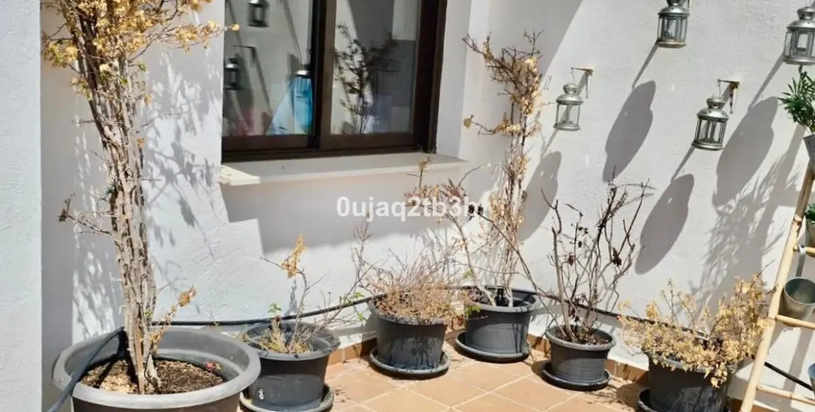 Long-term rent of penthouse in Selwo 4