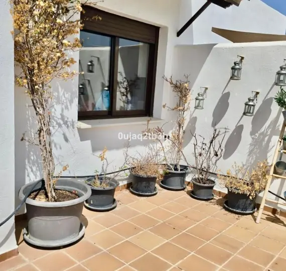 Long-term rent of penthouse in Selwo