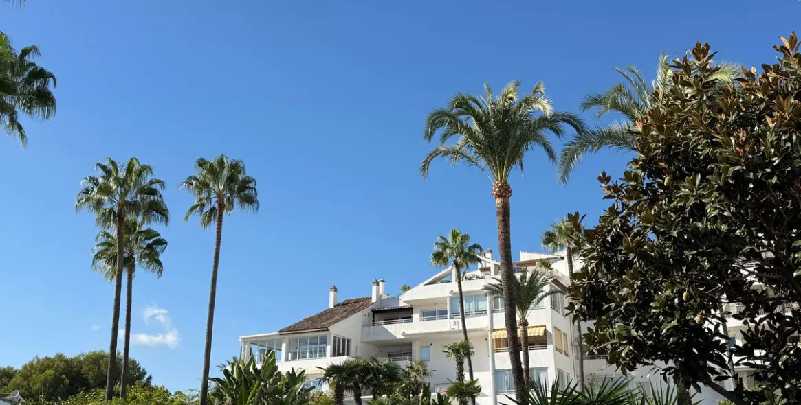 Long-term rent of ground floor apartment in Estepona 2