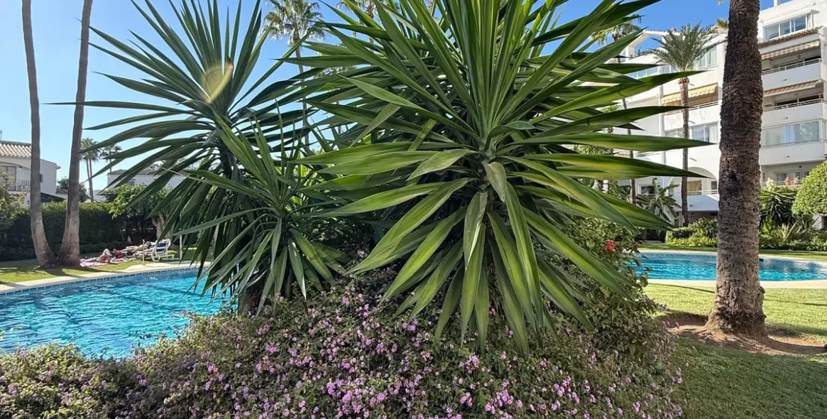 Long-term rent of ground floor apartment in Estepona 3