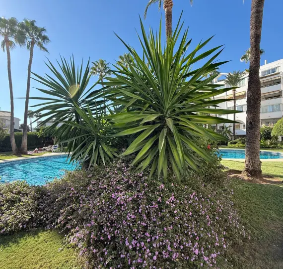 Long-term rent of ground floor apartment in Estepona