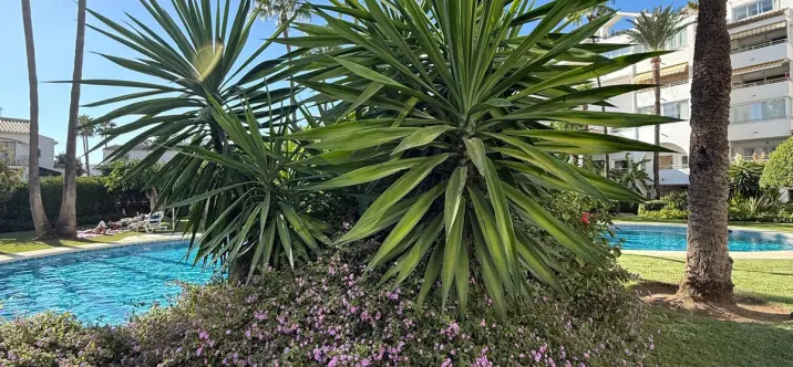 Long-term rent of ground floor apartment in Estepona 2