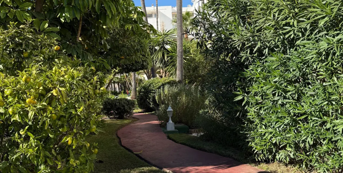 Long-term rent of ground floor apartment in Estepona 6