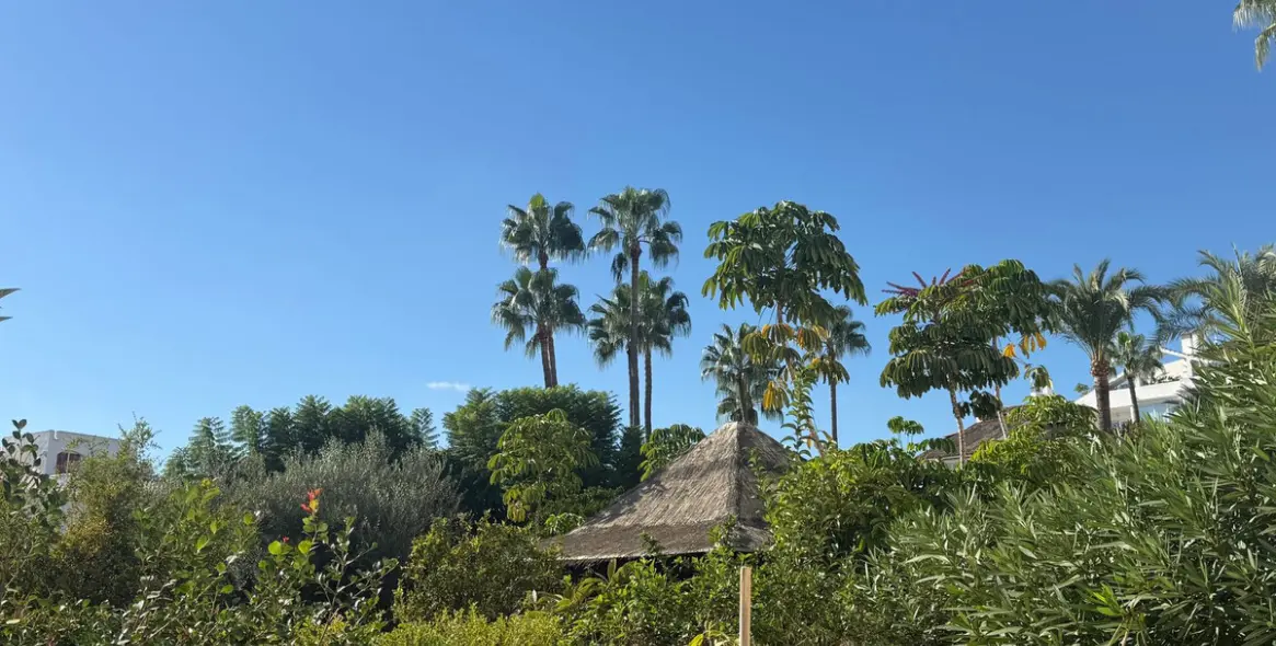 Long-term rent of ground floor apartment in Estepona 7