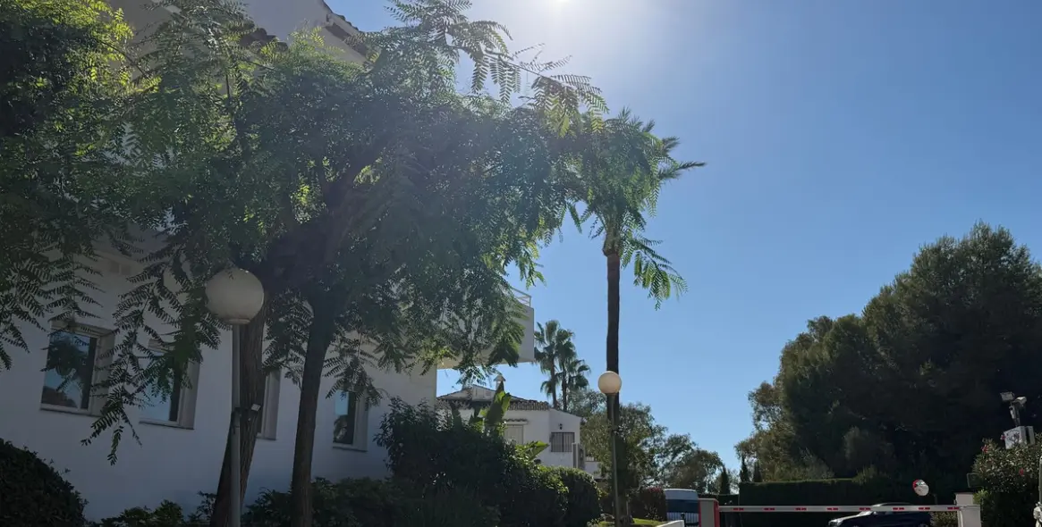 Долгосрочная аренда апартаментов на первом этаже в Estepona 25