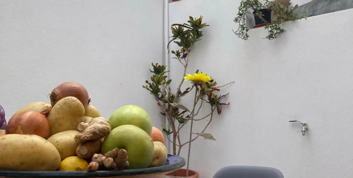 Long-term rent of townhouse in Estepona 10