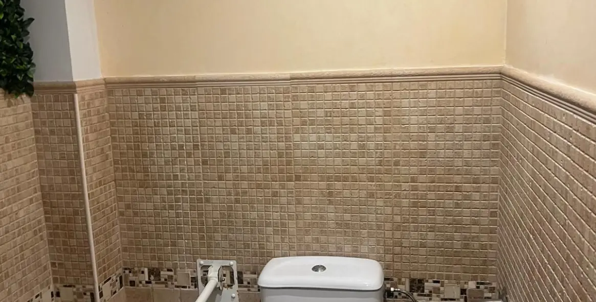 Long-term rent of bar in Marbella 8