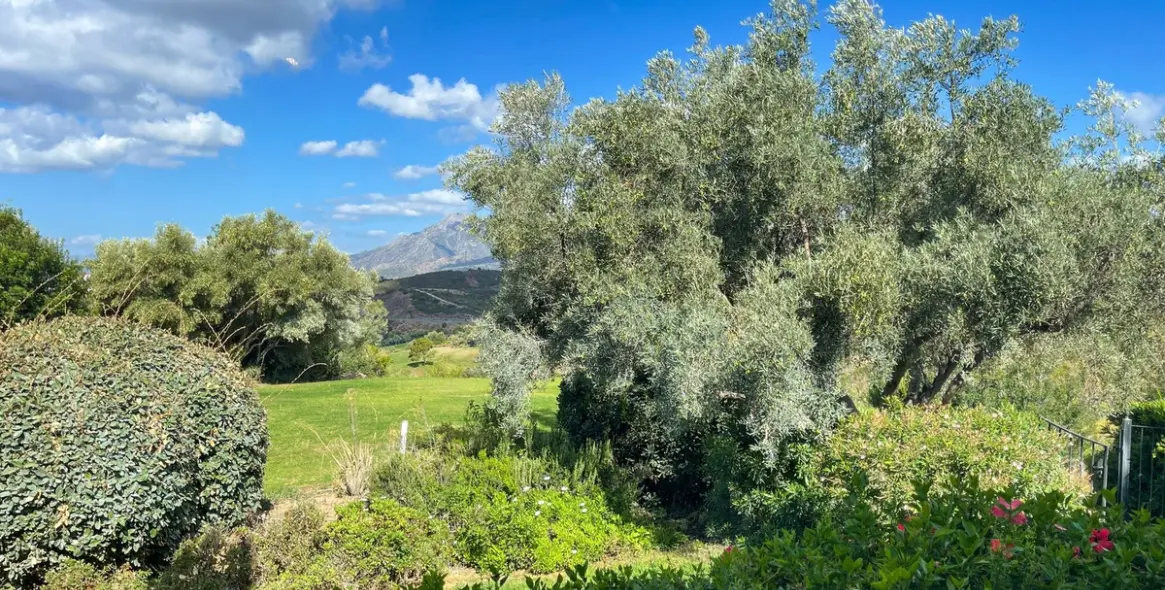 Краткосрочная аренда  отдельно стоящей виллы в El Rosario 3