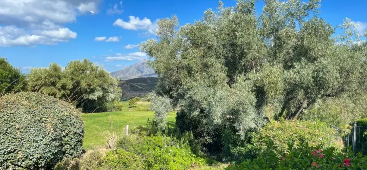 Краткосрочная аренда  отдельно стоящей виллы в El Rosario 2