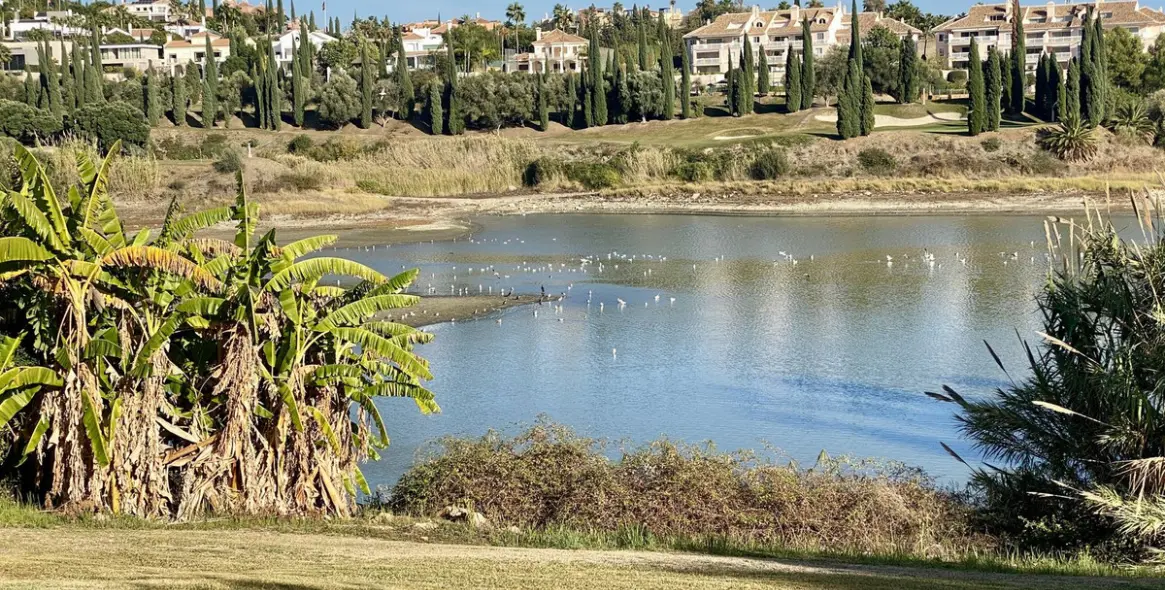 Short-term rent of detached villa in Benahavís 35