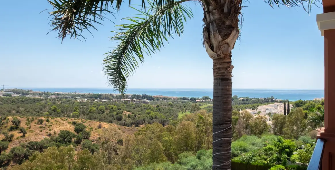 Краткосрочная аренда  отдельно стоящей виллы в Río Real 5