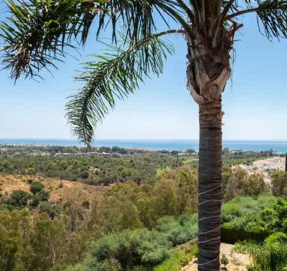 Краткосрочная аренда  отдельно стоящей виллы в Río Real