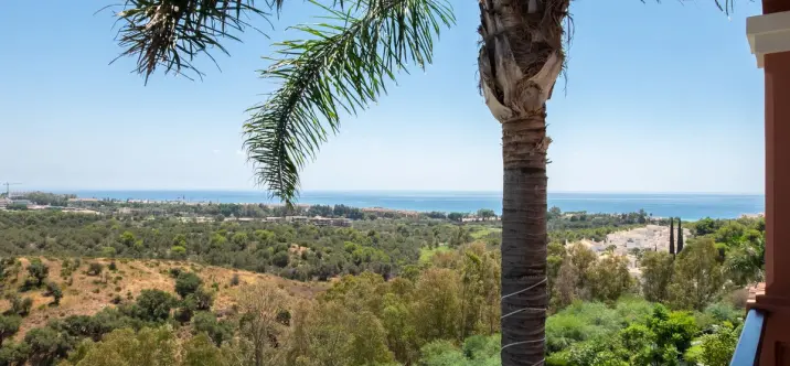 Краткосрочная аренда  отдельно стоящей виллы в Río Real 4