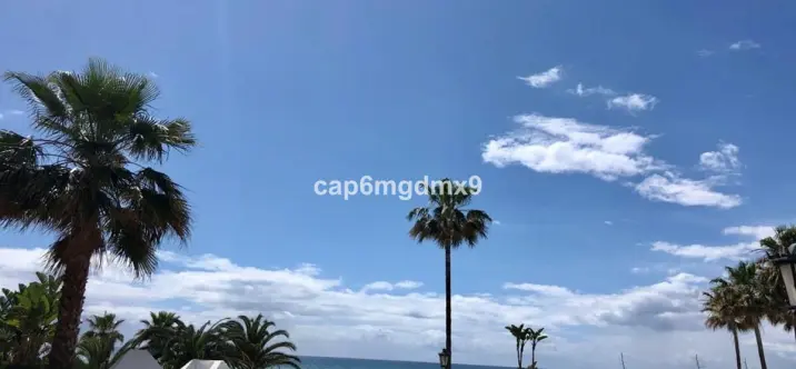 Краткосрочная аренда дома на две семьи в Bahía de Marbella 4