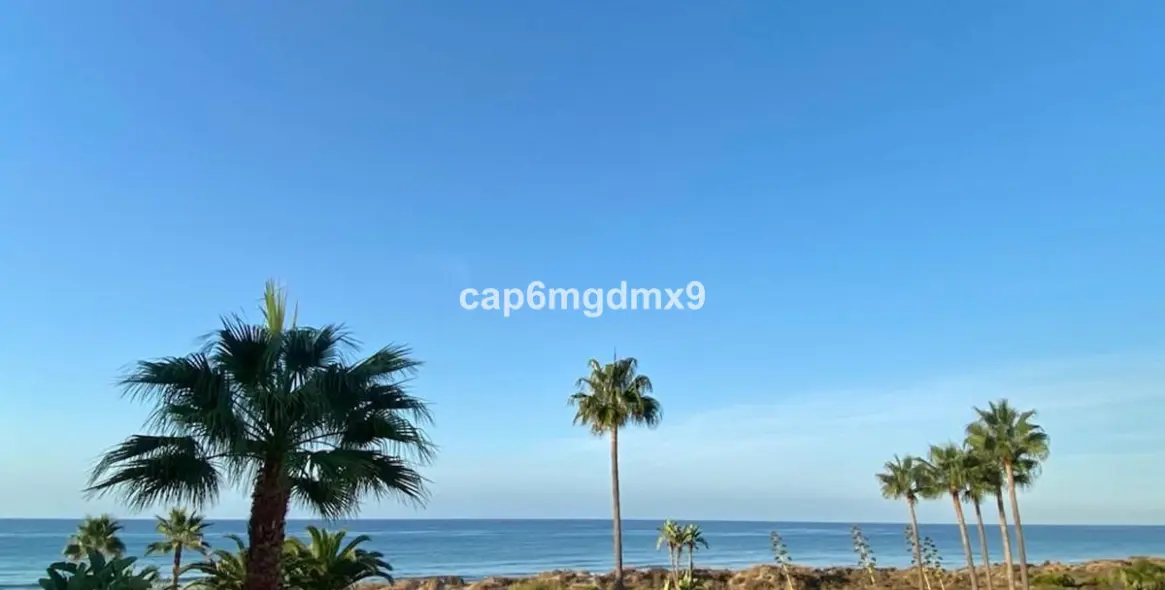 Short-term rent of semi-detached house in Bahía de Marbella 7