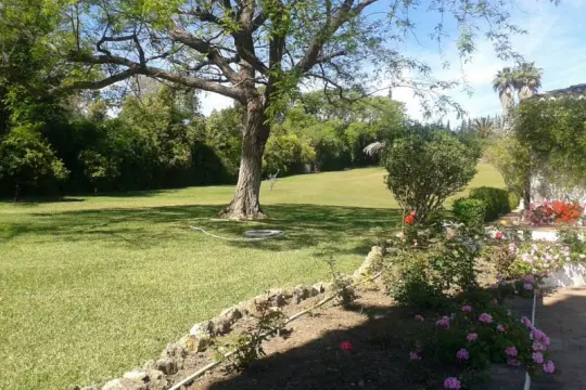 Image 6 thumb