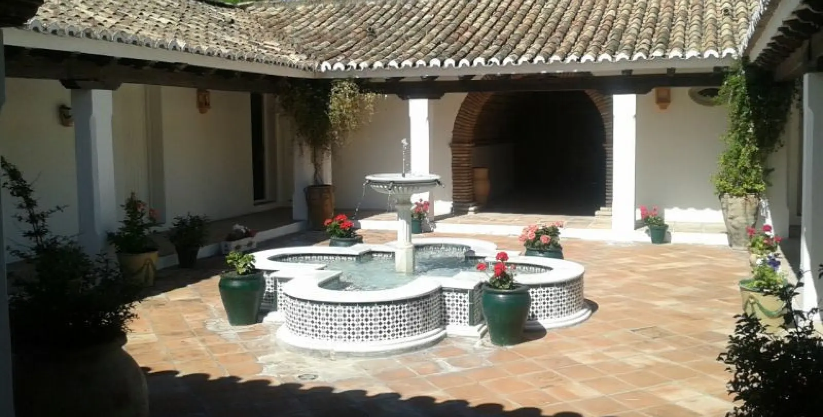 Short-term rent of detached villa in Cancelada 7