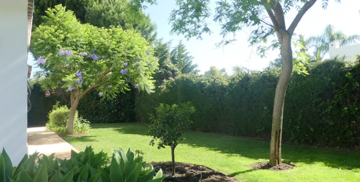 Краткосрочная аренда  отдельно стоящей виллы в Estepona 23