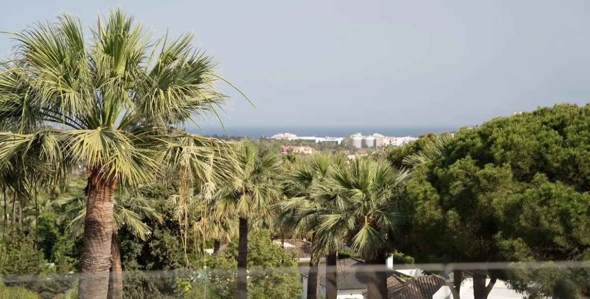 Short-term rent of detached villa in Nueva Andalucía 24