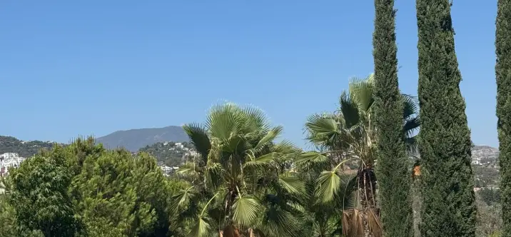 Long-term rent of ground floor apartment in Benahavís 0