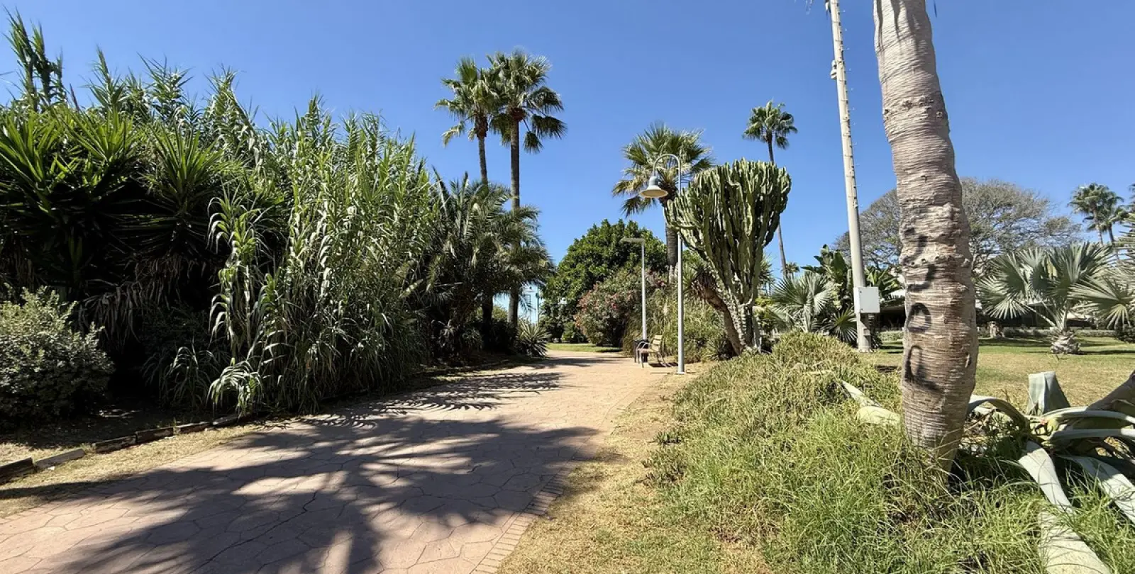 Short-term rent of semi-detached house in Costalita 48
