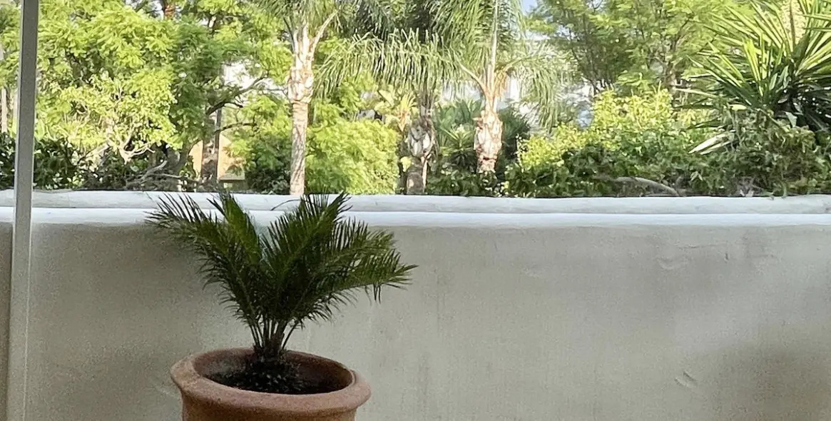 Долгосрочная аренда апартаментов на первом этаже в Marbella (район The Golden Mile) 7