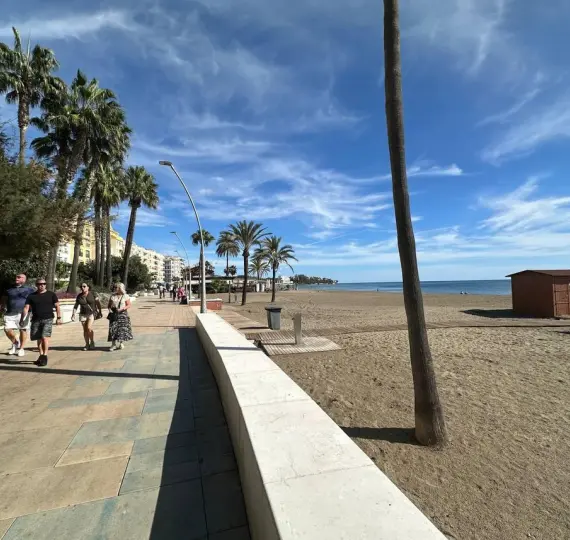 Long-term rent of commercial premises in Centro