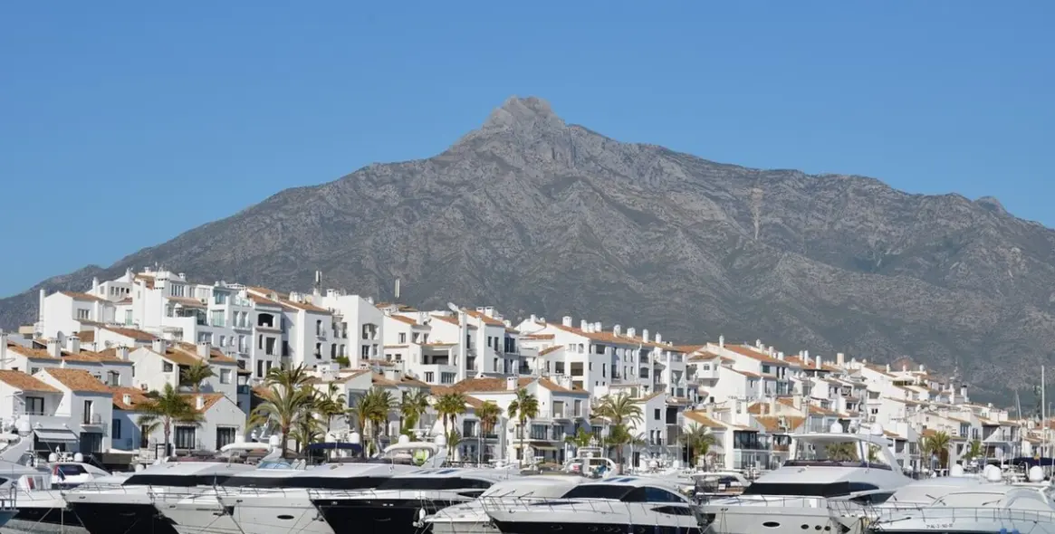 Long-term rent of business in Puerto Banús 4