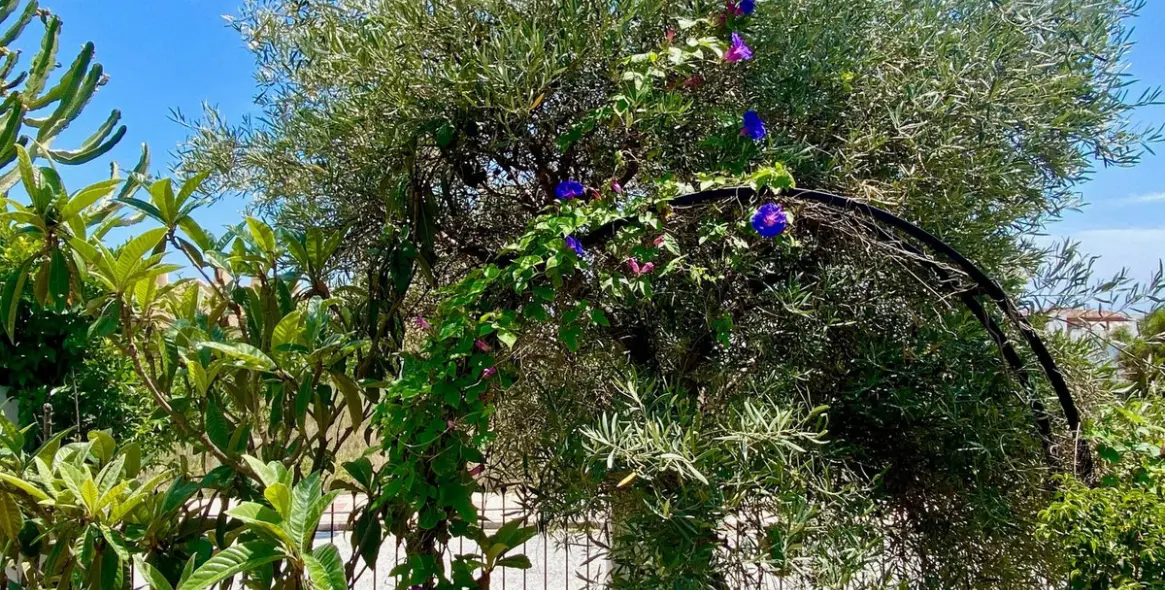 Краткосрочная аренда  отдельно стоящей виллы в Calahonda 64