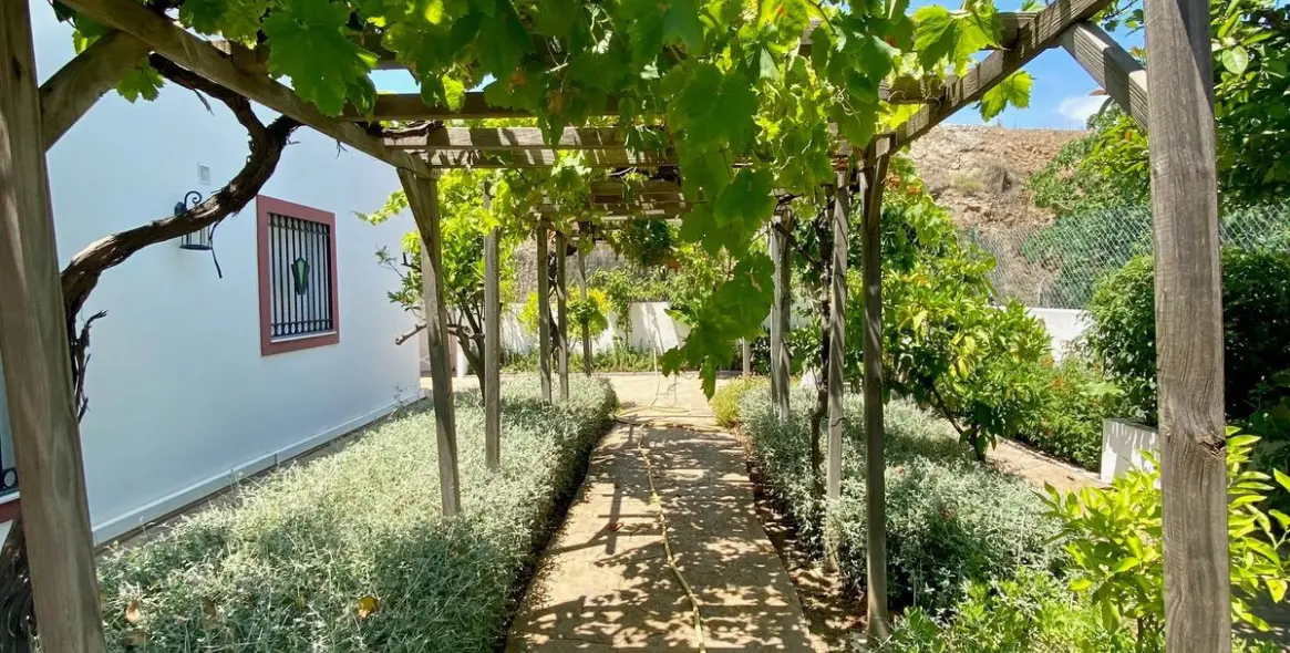 Краткосрочная аренда  отдельно стоящей виллы в Calahonda 67