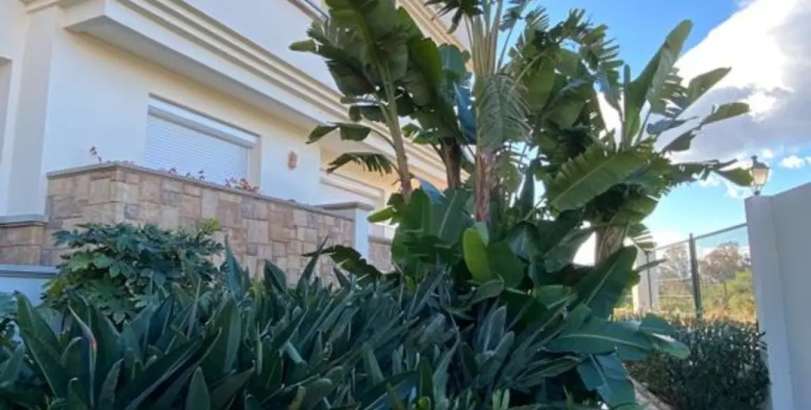 Short-term rent of penthouse in Estepona 3