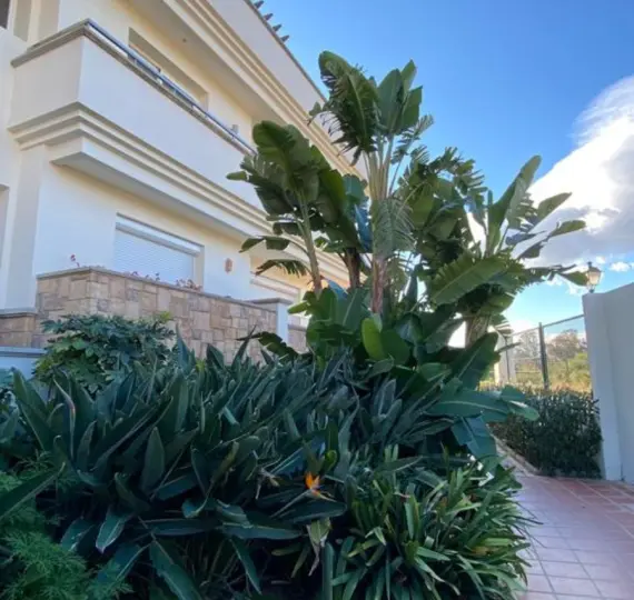 Short-term rent of penthouse in Estepona