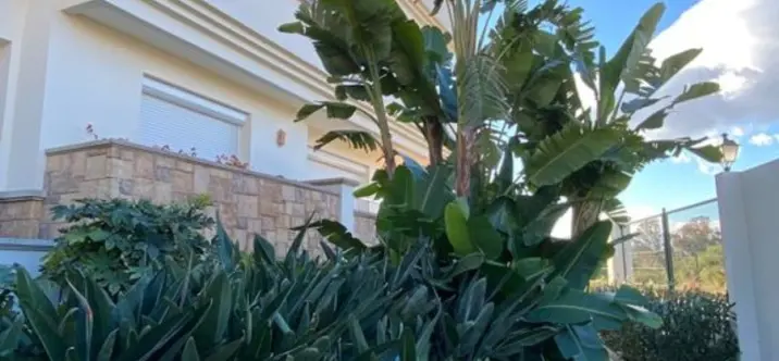 Short-term rent of penthouse in Estepona 2