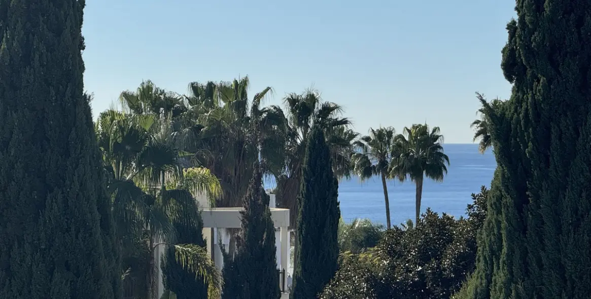 Краткосрочная аренда  отдельно стоящей виллы в Bahía de Marbella 19
